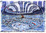 Olympic Bubble Rowin-NFT